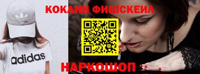 крисы Шебекино